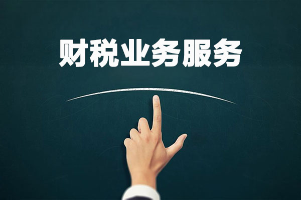 财税业务代理与服务